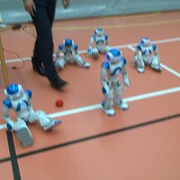 Polvenkorkuisia robotteja liikuntasalin lattialla..