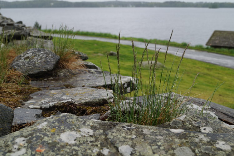 DSC04048_XL.jpg