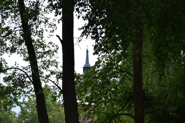DSC_0514_XL.jpg